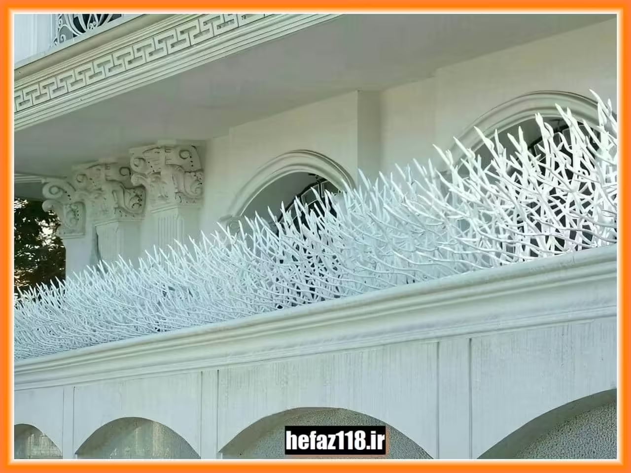 حفاظ شاخ گوزنی