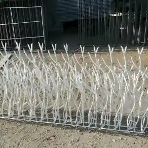 حفاظ بوته ای تراکم ۶۷