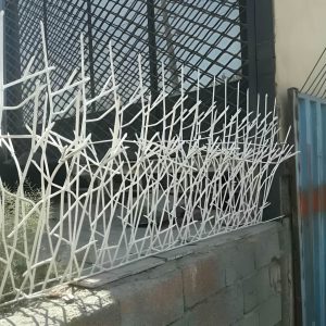 حفاظ شاخ گوزنی تراکم ۴۰