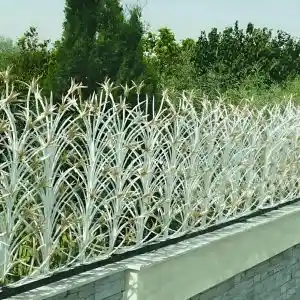 حفاظ لیلیوم