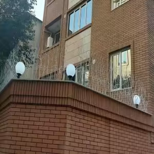 عکس و مدل های متنوع حفاظ شاخ گوزنی عکس و مدل های متنوع حفاظ شاخ گوزنی