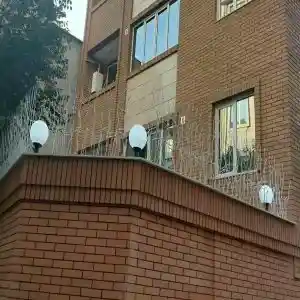 عکس و مدل های متنوع حفاظ شاخ گوزنی عکس و مدل های متنوع حفاظ شاخ گوزنی