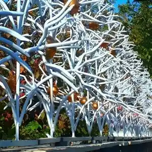 خرید و تولید حفاظ شاخ گوزنی خرید و تولید حفاظ شاخ گوزنی