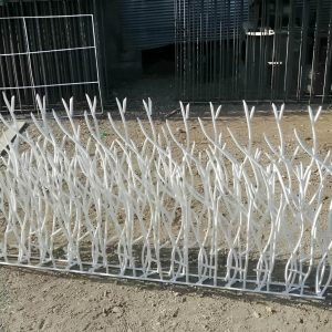 حفاظ بوته ای تراکم 67