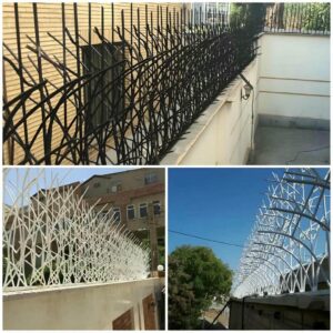 حفاظ شاخ گوزنی در کمال شهر