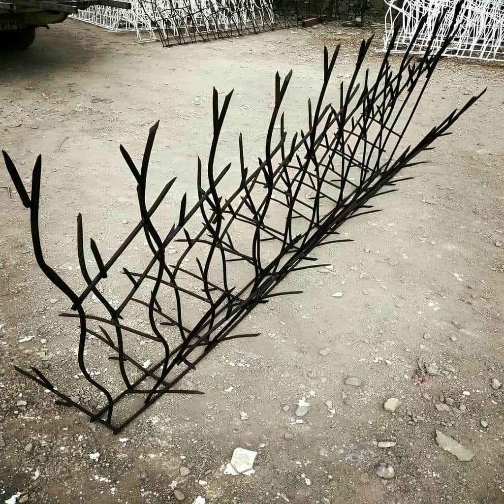 خرید حفاظ شاخ گوزنی بازدارندگی اقتصادی در فردیس کرج خرید حفاظ شاخ گوزنی بازدارندگی اقتصادی در فردیس کرج