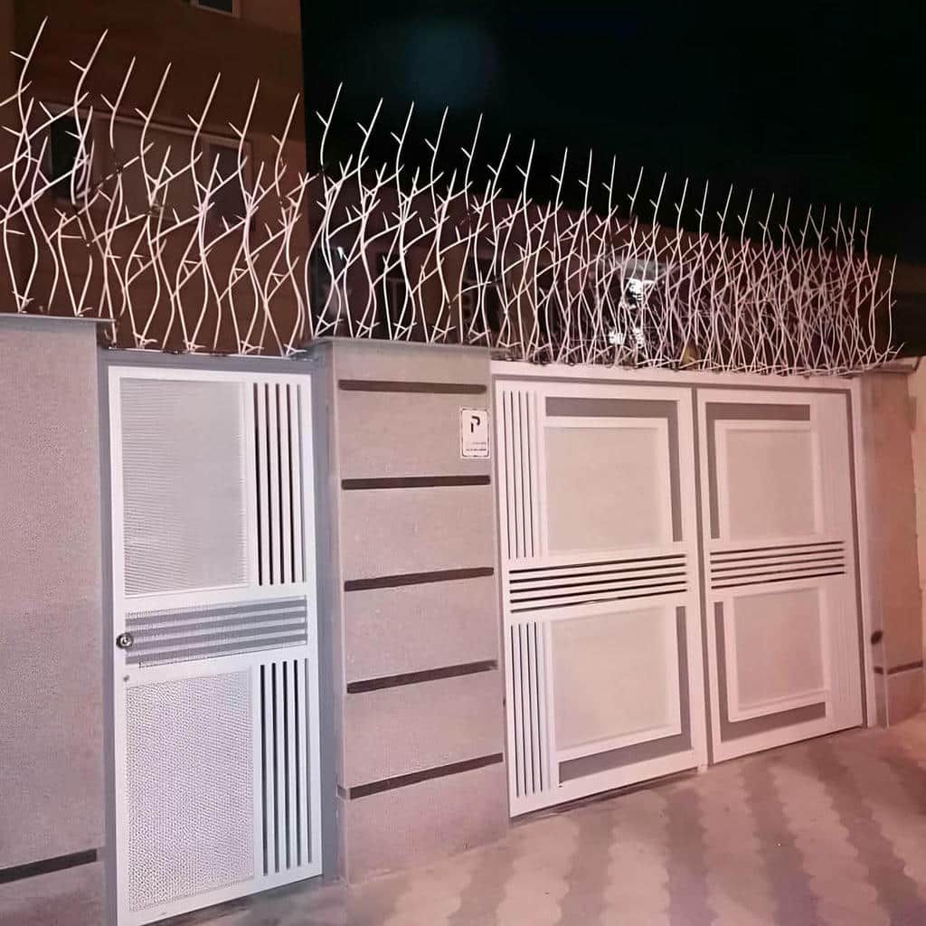 حفاظ شاخ گوزنی در ارومیه