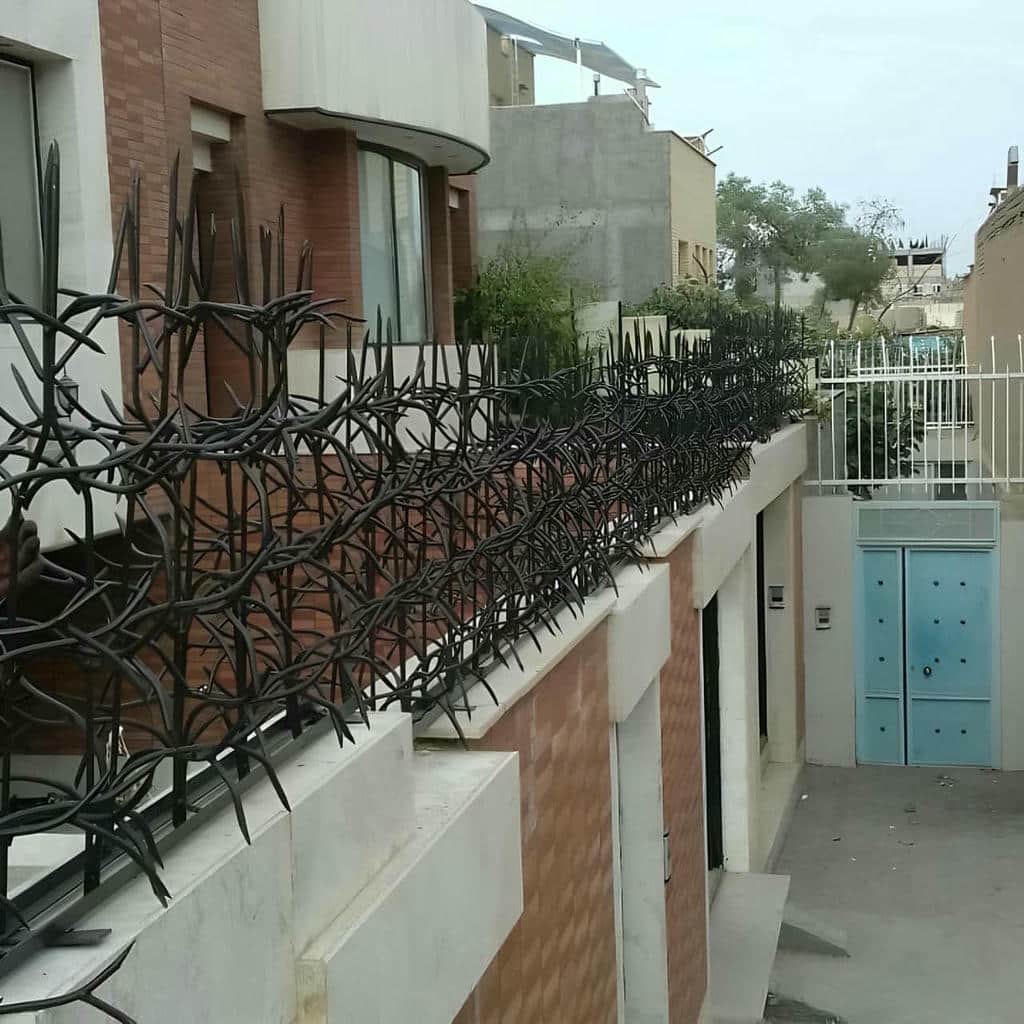 خرید حفاظ شاخ گوزنی تراکم متعادل در کمال شهر