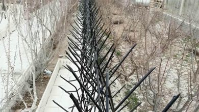 fence-wall-protection-deer-antler-spear-ago