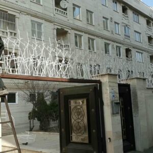 حفاظ شاخ گوزنی در بندر دیلم