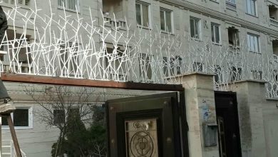 حفاظ شاخ گوزنی در بندر دیلم