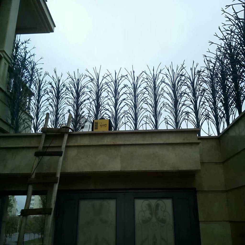 خرید حفاظ شاخ گوزنی ابعاد هماهنگ دیوار در پردیس