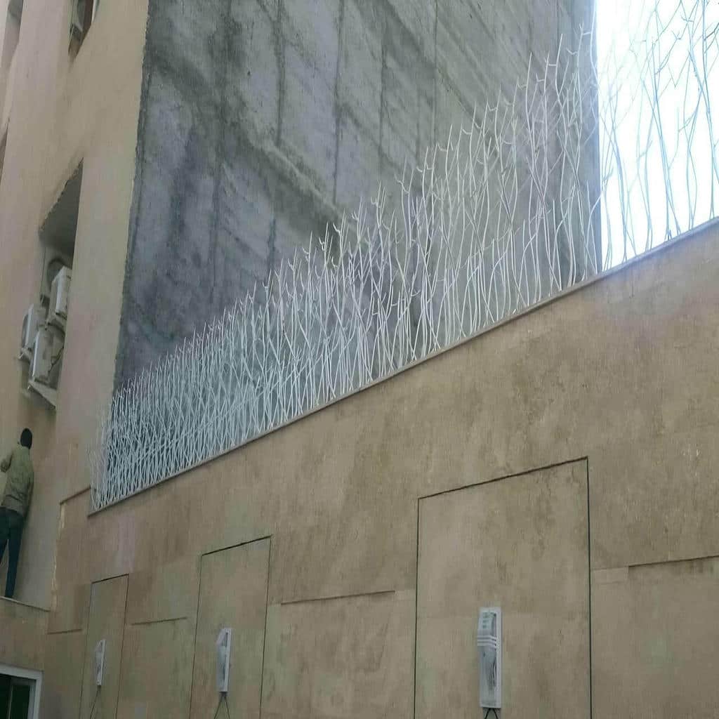 قیمت حفاظ شاخ گوزنی بازدارندگی عملی در دماوند