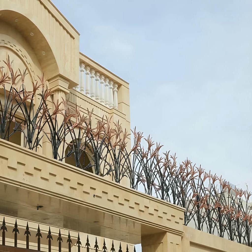 حفاظ شاخ گوزنی در بندر لنگه