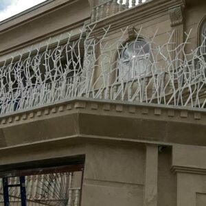 حفاظ شاخ گوزنی در نیشابور