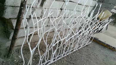 حفاظ شاخ گوزنی در آبسرد
