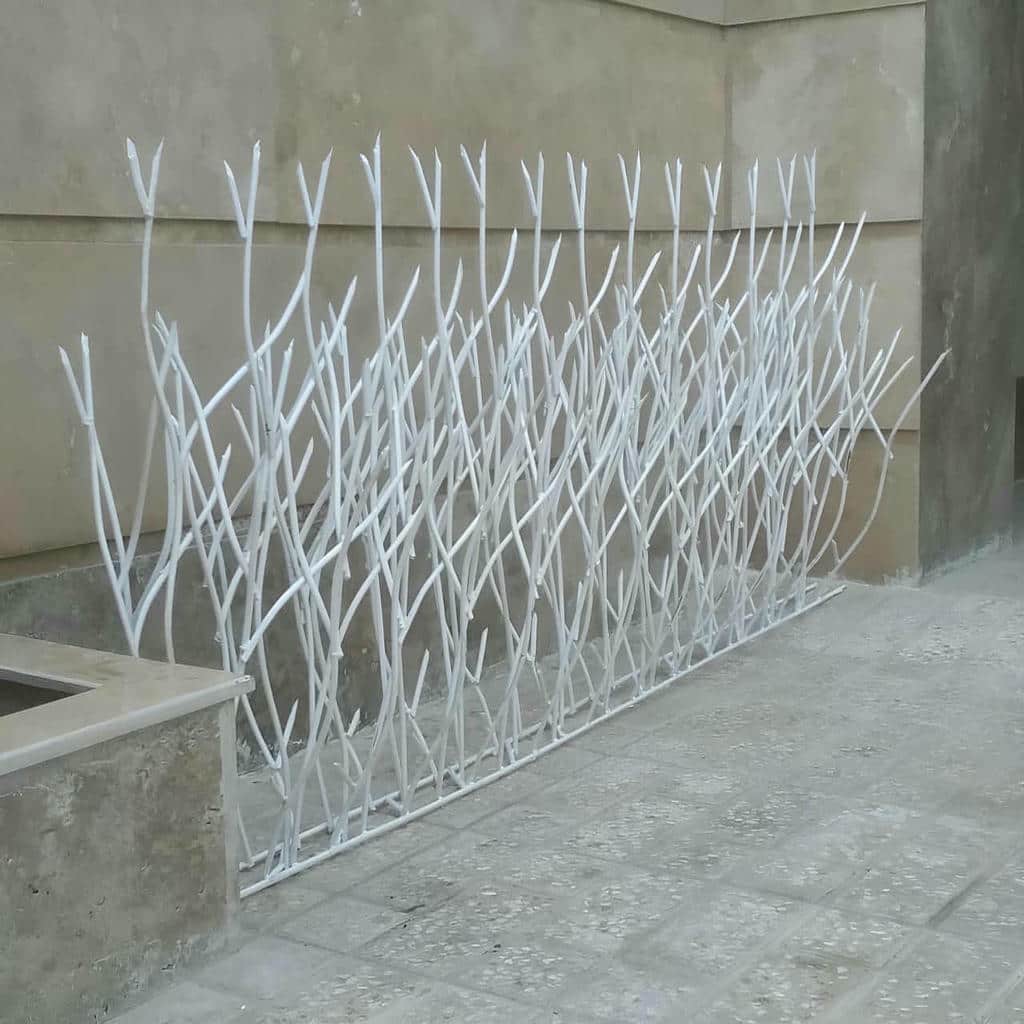 حفاظ شاخ گوزنی در لواسان
