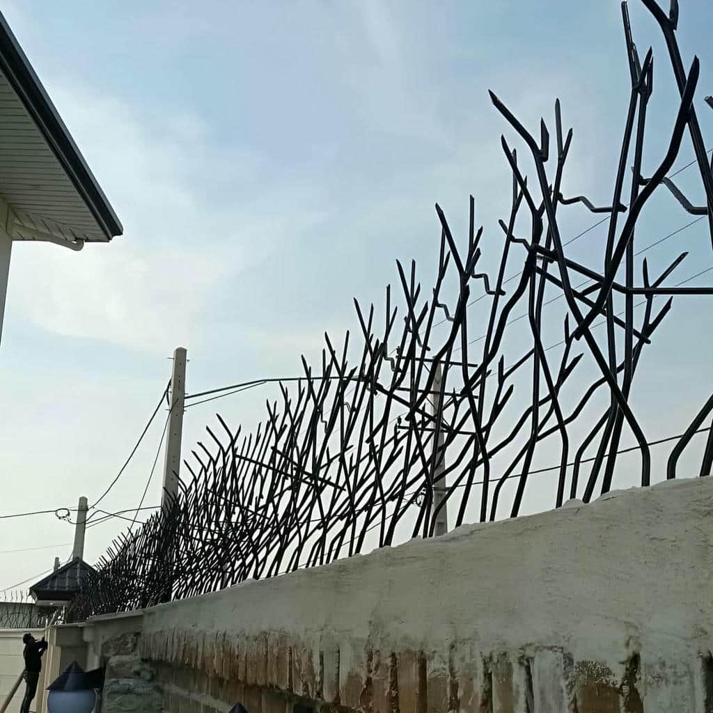 فروش حفاظ شاخ گوزنی دیوار حیاط در فردیس کرج فروش حفاظ شاخ گوزنی دیوار حیاط در فردیس کرج