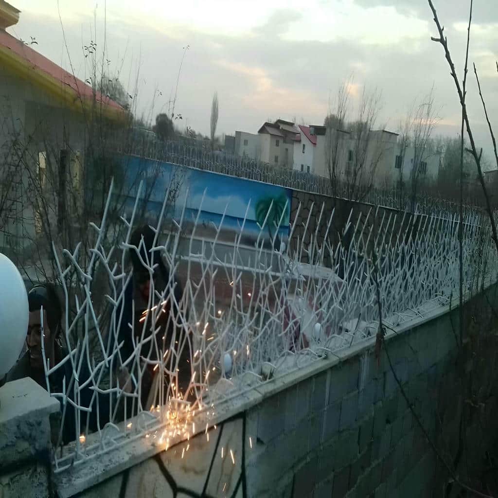 قیمت حفاظ شاخ گوزنی محوطه مسکونی در استان مازندران