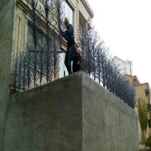 حفاظ شاخ گوزنی در بومهن