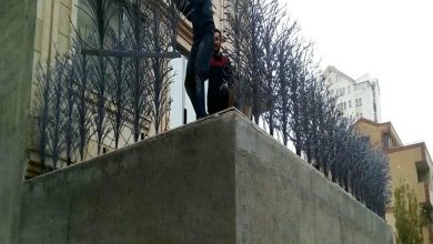 حفاظ شاخ گوزنی در بومهن