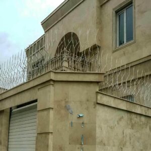 حفاظ شاخ گوزنی در اشتهارد