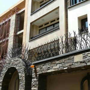 حفاظ شاخ گوزنی در کرج
