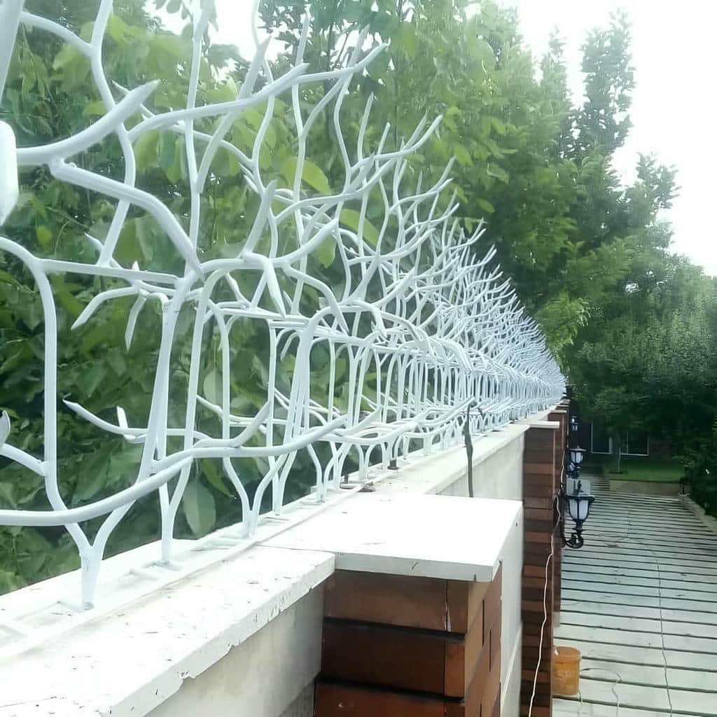 حفاظ شاخ گوزنی در قم