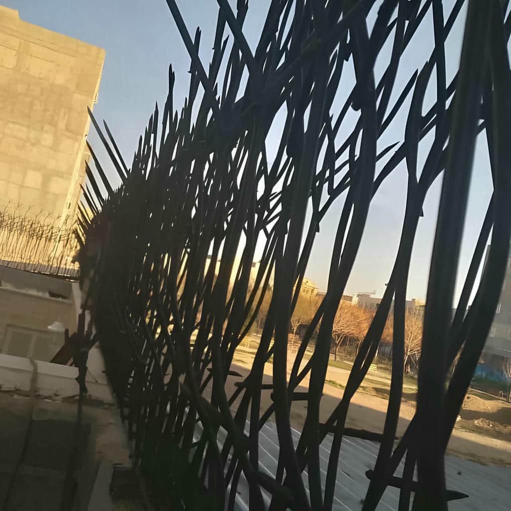 حفاظ شاخ گوزنی در بندرعباس