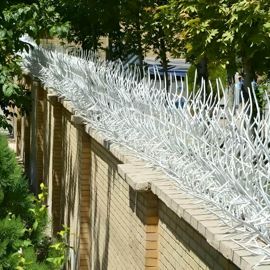 قیمت حفاظ شاخ گوزنی نوک بازدارنده در گنبدکاووس