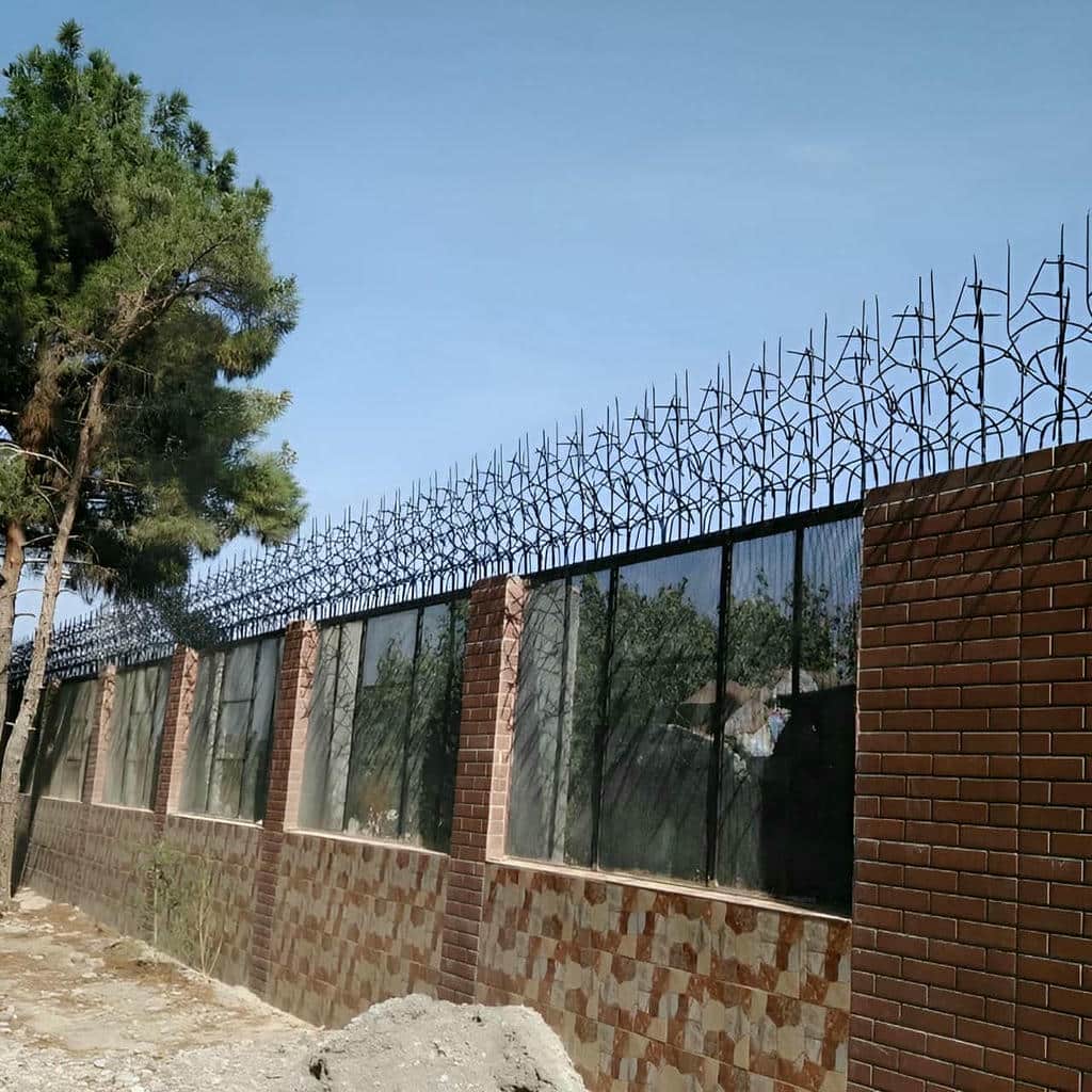 خرید حفاظ شاخ گوزنی تراکم متوسط در گنبدکاووس