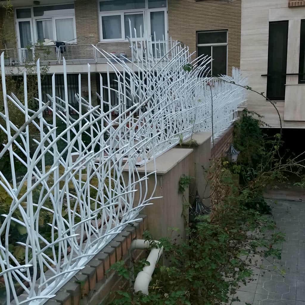 نصب حفاظ شاخ گوزنی تراز اجرا در کاشان