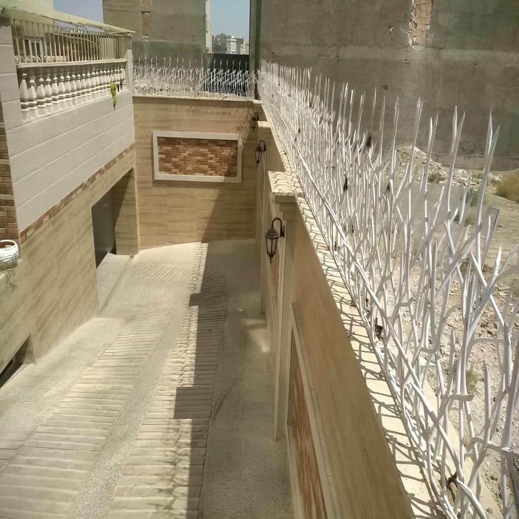 کارخانه حفاظ شاخ گوزنی کنترل نصب در یزد