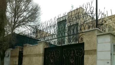 حفاظ شاخ گوزنی در خرم آباد