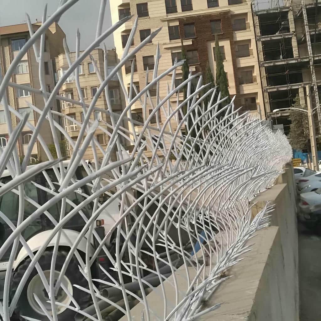 قیمت حفاظ شاخ گوزنی طرح متناسب در گرگان