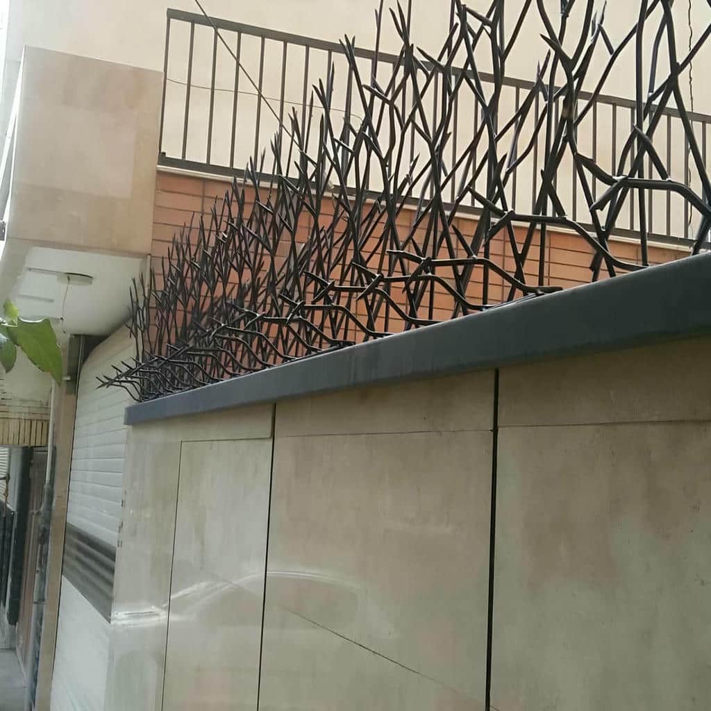 نصب حفاظ شاخ گوزنی دیوار حیاط در رفسنجان