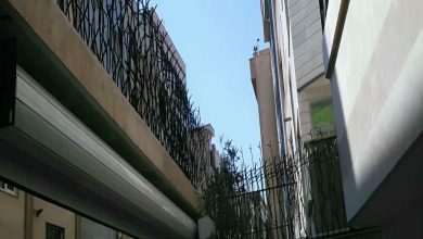 fence-wall-protection-deer-antler-spear-jr حفاظ شاخ گوزنی در یزد