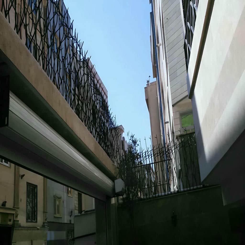 حفاظ شاخ گوزنی در یزد