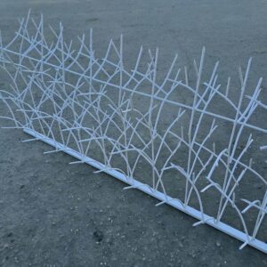 حفاظ شاخ گوزنی در ملارد