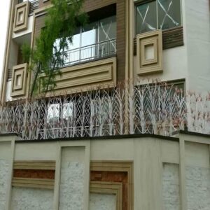 حفاظ شاخ گوزنی در بیرجند