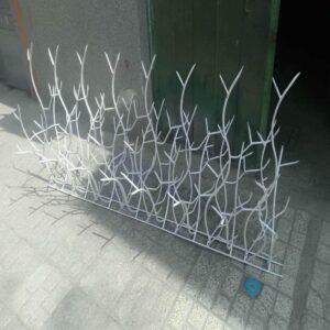 حفاظ شاخ گوزنی در استان خوزستان