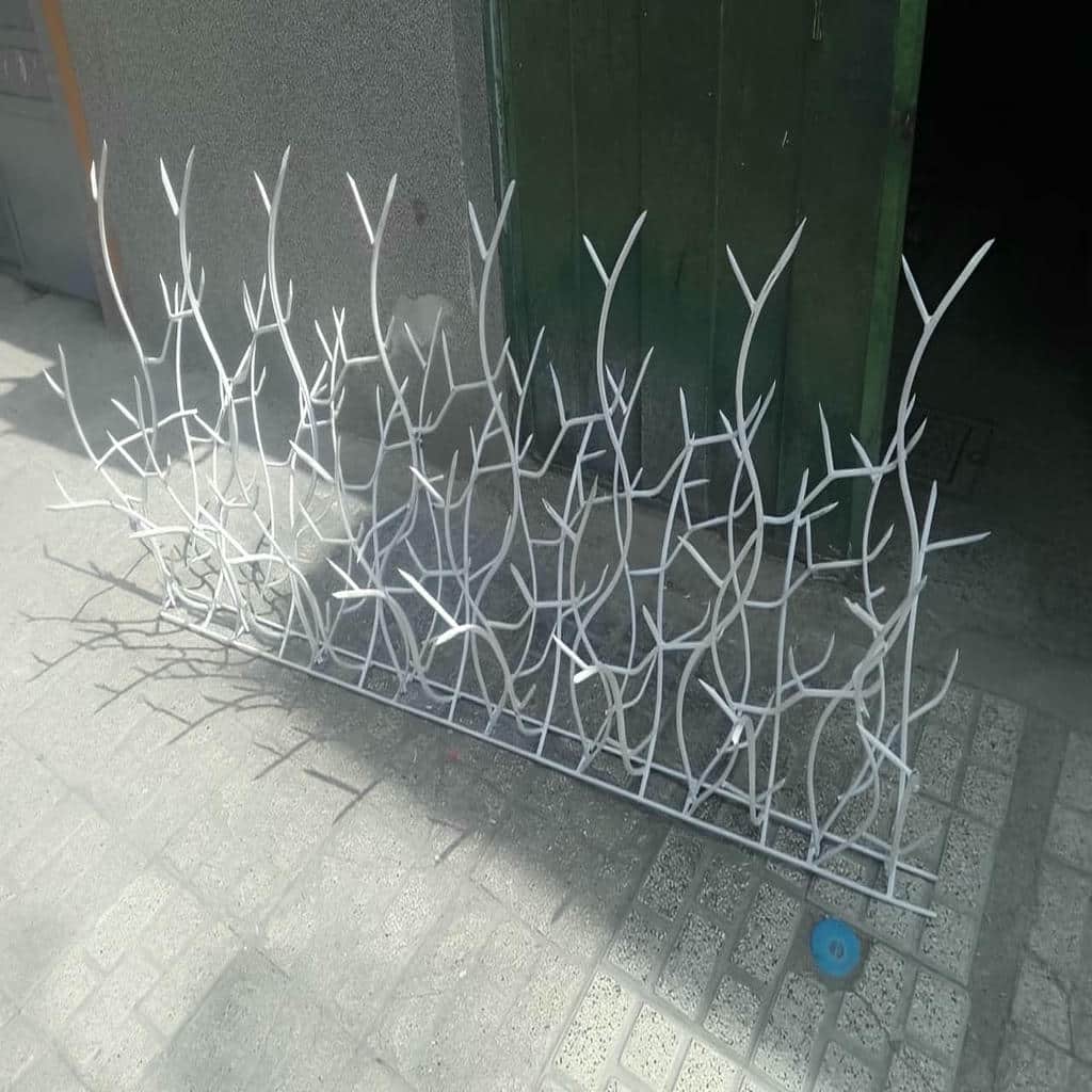 حفاظ شاخ گوزنی در استان خوزستان