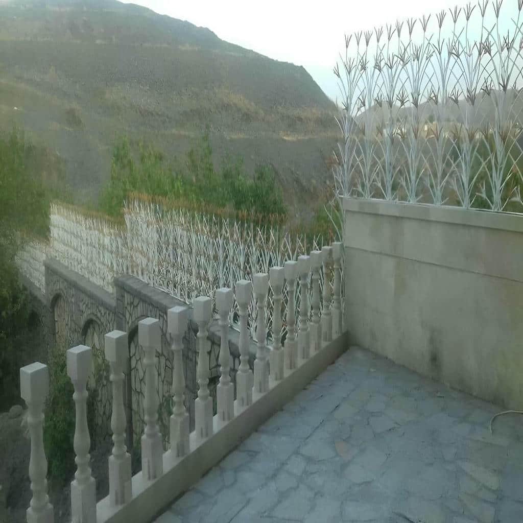 خرید حفاظ شاخ گوزنی بازدارندگی طراحی شده در قشم