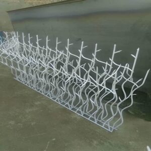 حفاظ شاخ گوزنی در یاسوج
