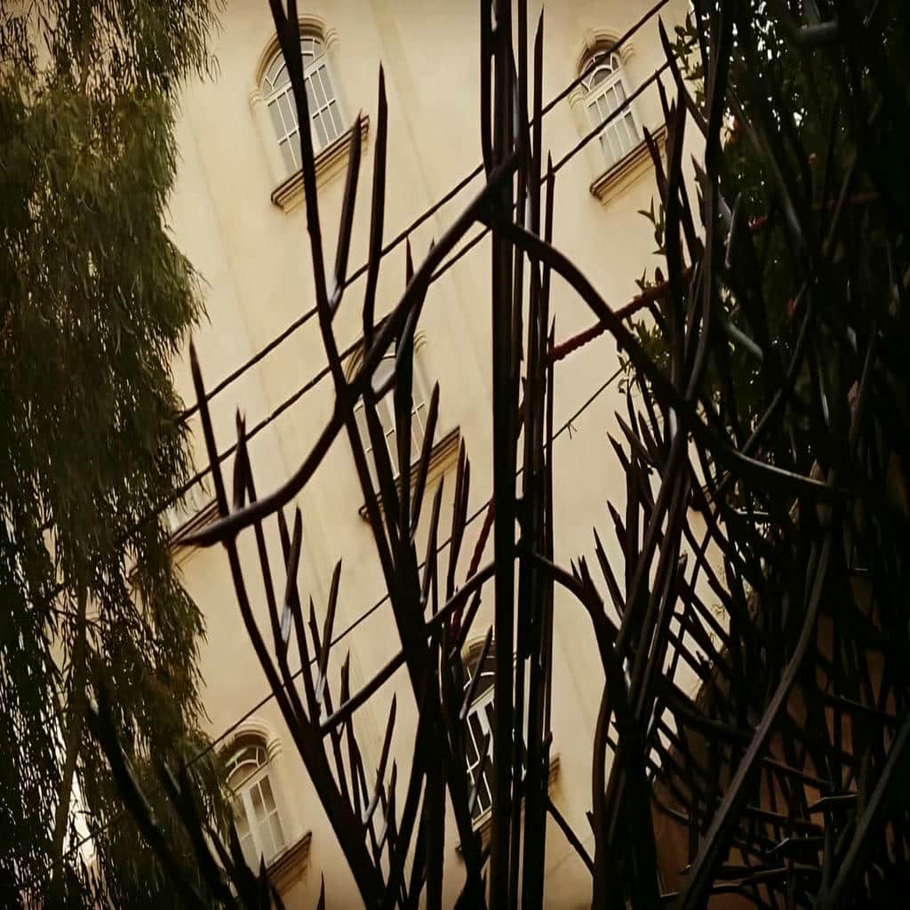 نصب حفاظ شاخ گوزنی اجرای ظریف در بجنورد