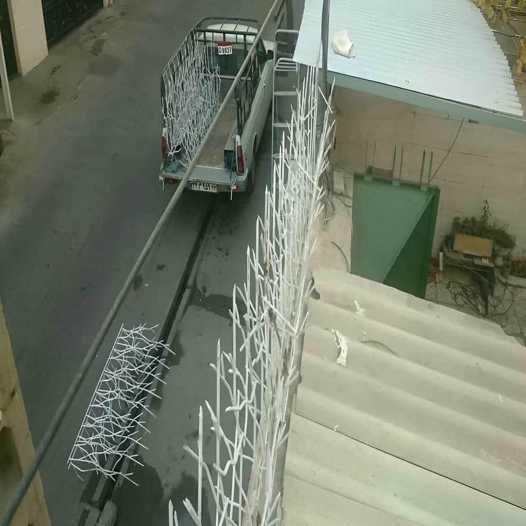 کارخانه حفاظ شاخ گوزنی تحویل منظم در اشتهارد