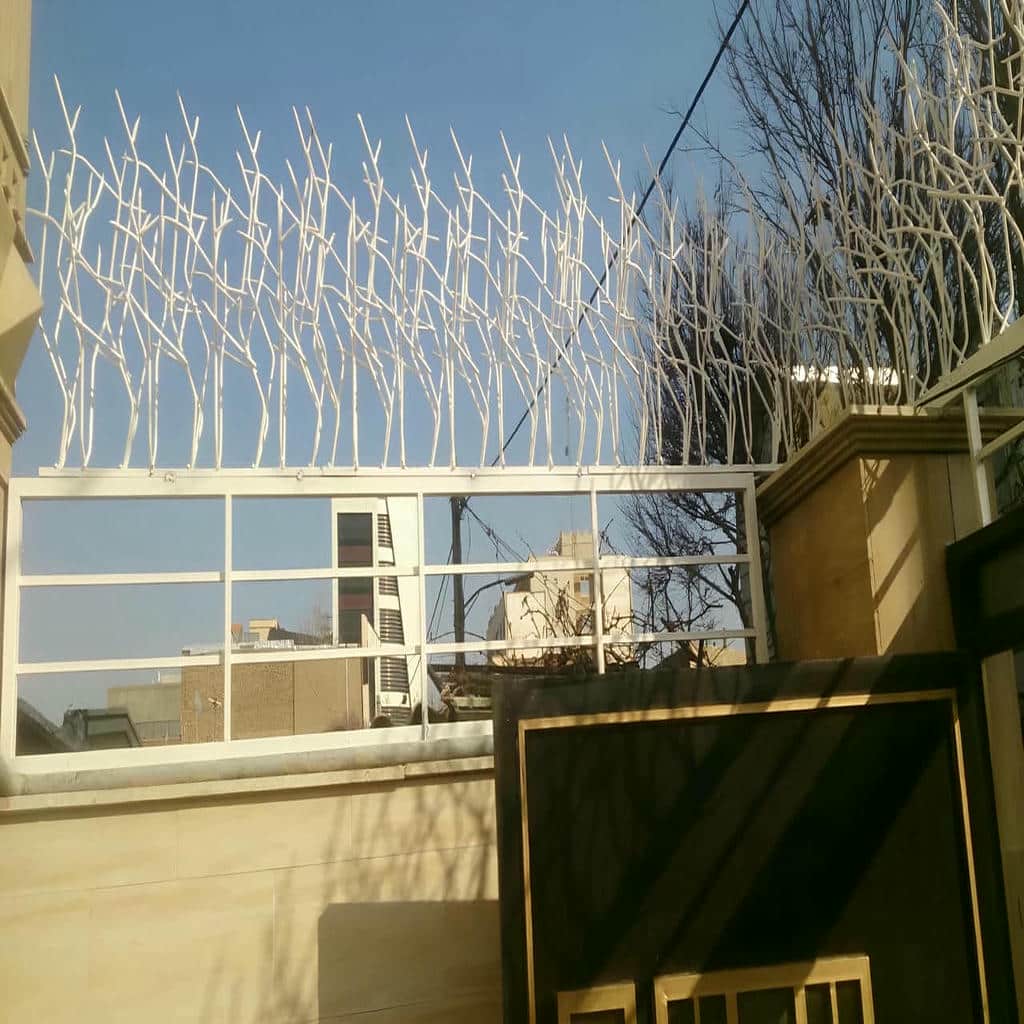 حفاظ شاخ گوزنی در سیرجان