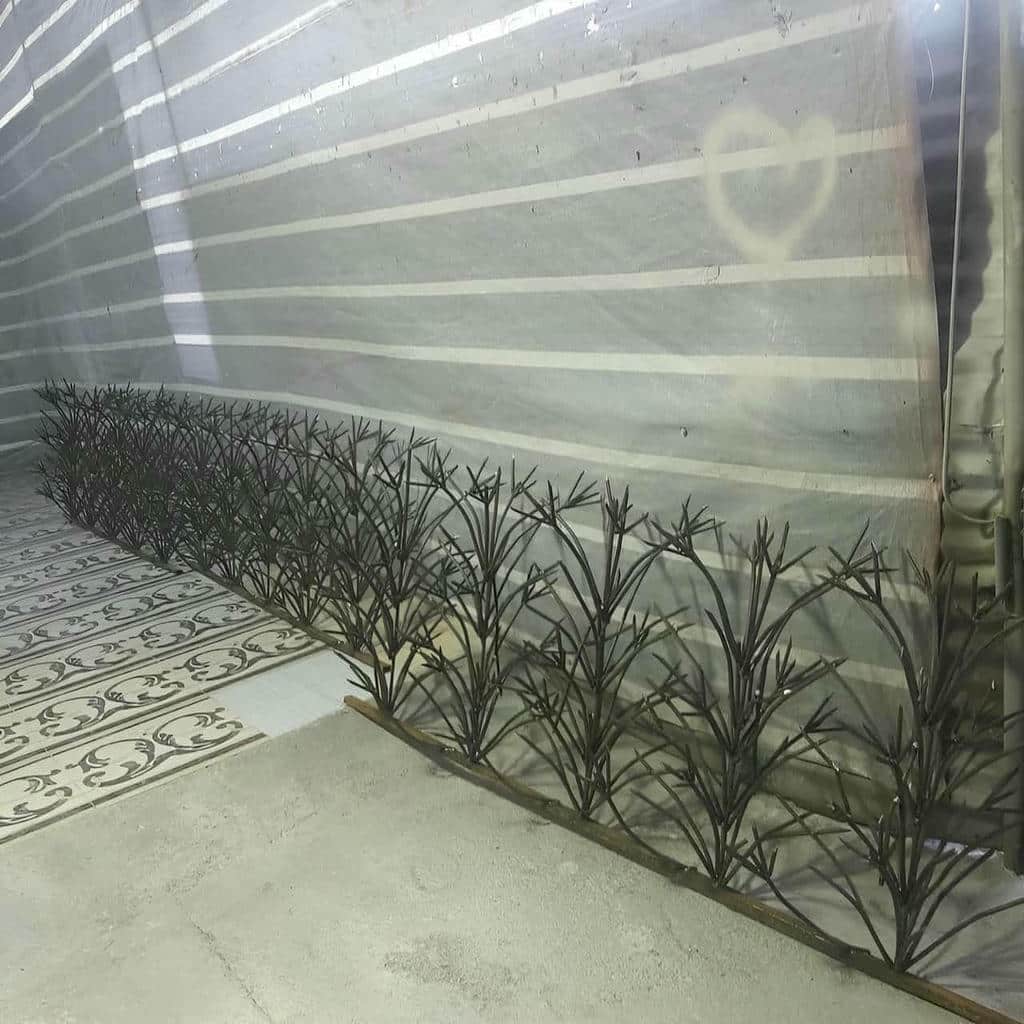 کارخانه حفاظ شاخ گوزنی سازه مقاوم در آمل
