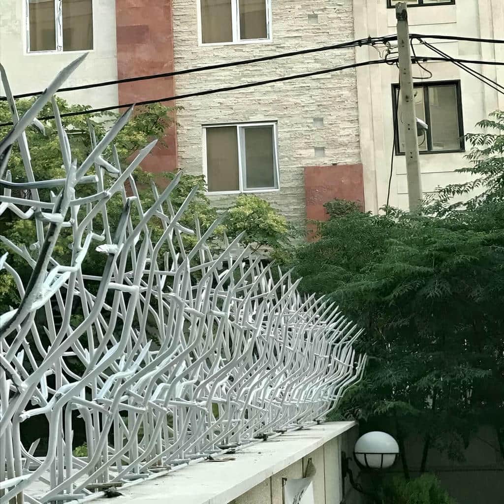 فروش حفاظ شاخ گوزنی دیوار حیاط در بومهن