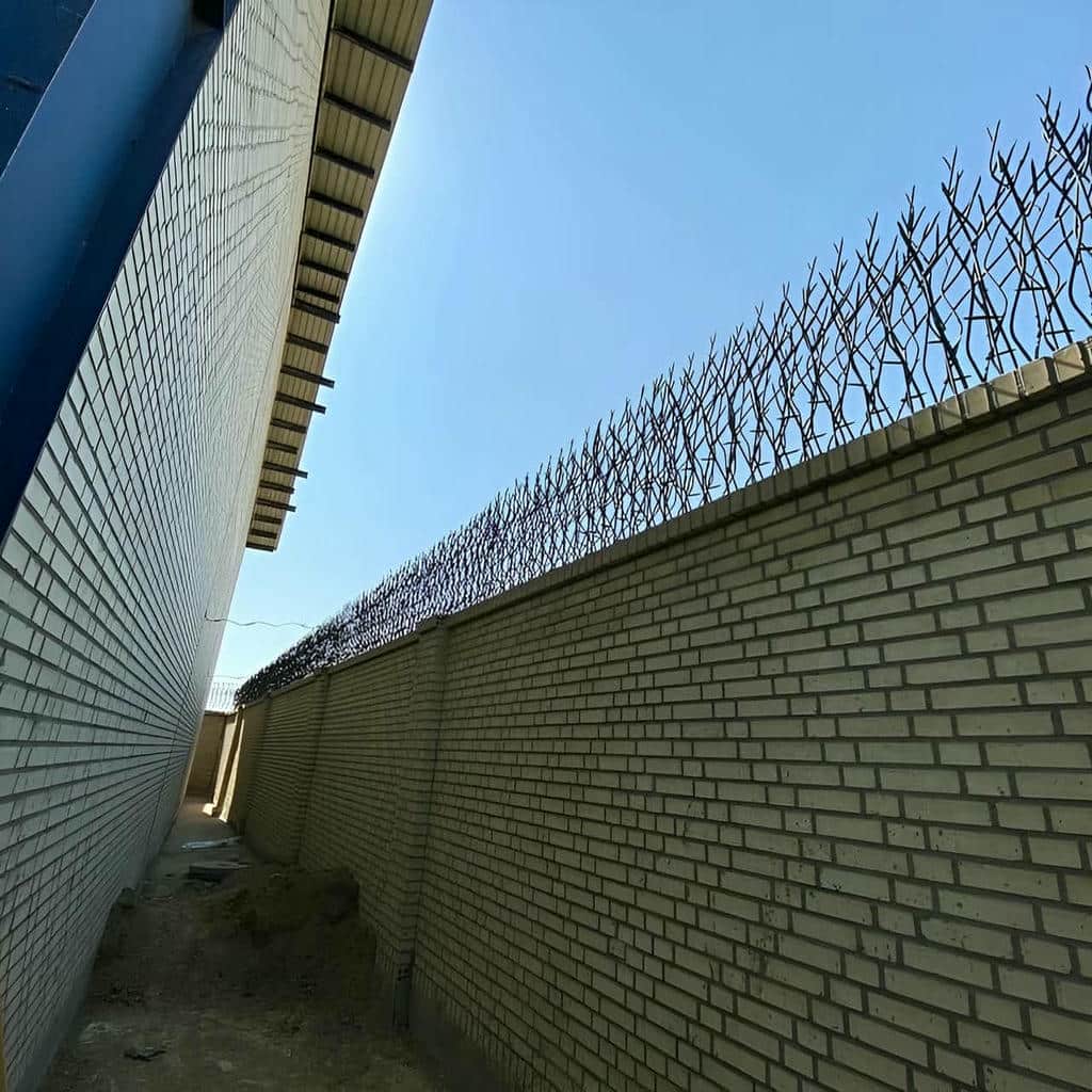 حفاظ شاخ گوزنی در پردیس